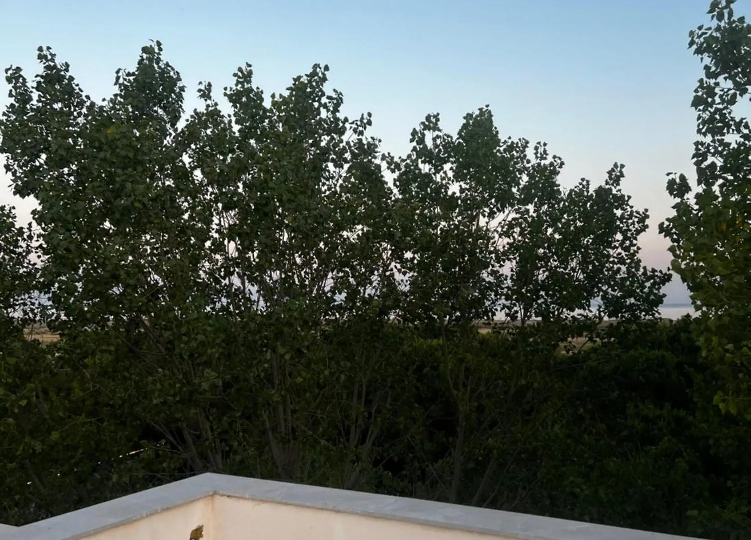 ***  Hotel Peja Velipojë 알바니아